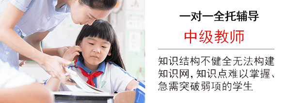 VIP高考1对1课程