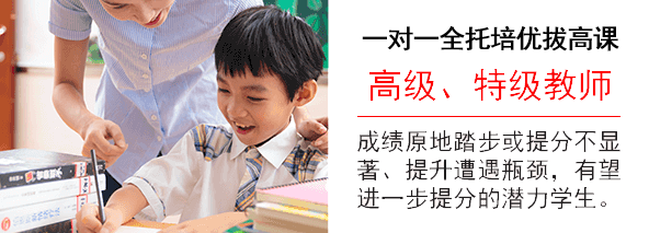 VIP高考1对1课程