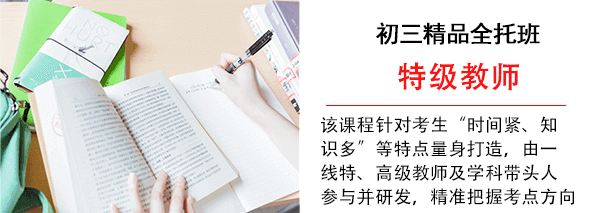 VIP高考1对1课程